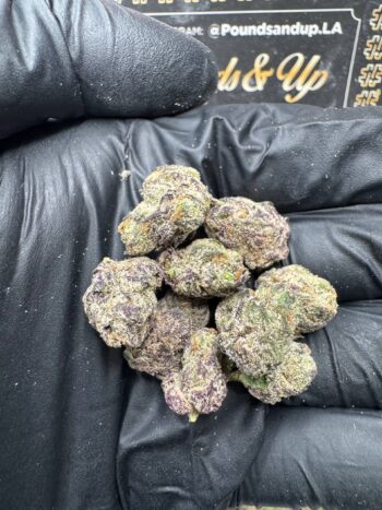 Crypto Candy Smalls