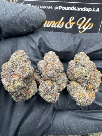 Black Runtz