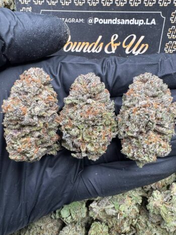 Super Purple Bubba
