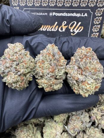 Pink Oreoz
