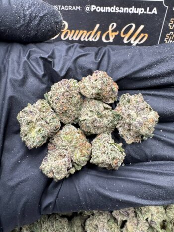 Candylato Smalls