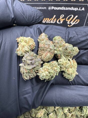 Strawberry Fields Smalls