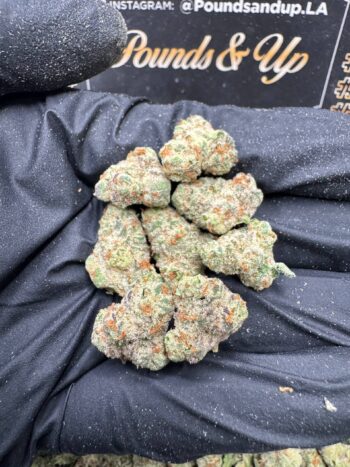 Watermelon Zkittlez Smalls